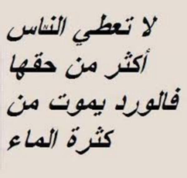 امثال شعبية حلوة - اجمل ما قيل عن الامثال الشعبيه علي الصور 👇 8415 4