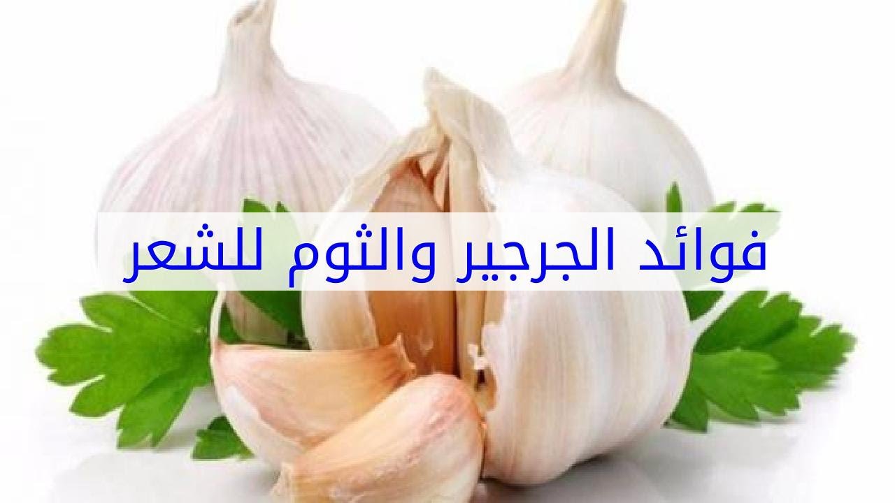 فوائد اكل الثوم , اهم فوائد الثوم