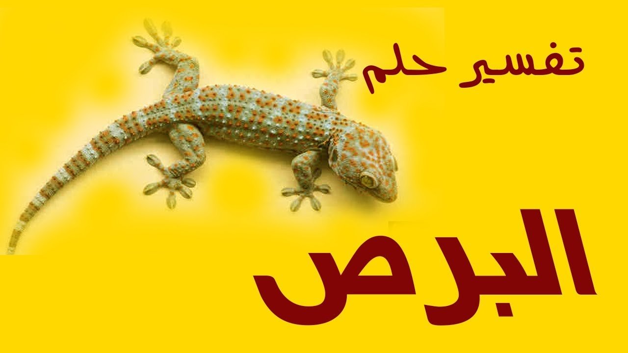 تفسير حلم الوزغ